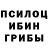 Галлюциногенные грибы мухоморы Ruslan Radulovich
