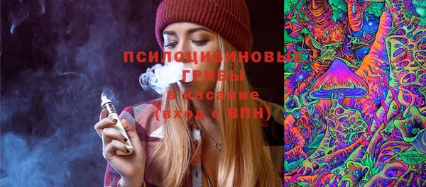 прущий лед Абаза
