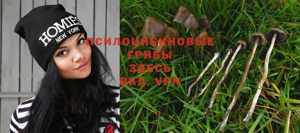 ALPHA-PVP Абинск