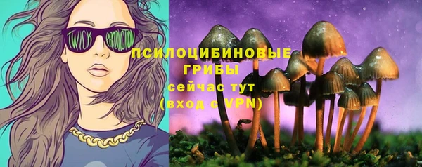 прущий лед Абаза