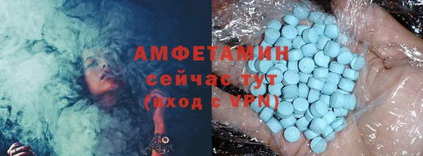 шишки Арсеньев