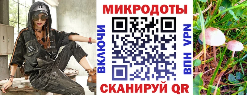 Псилоцибиновые грибы Psilocybine cubensis  Лысьва 